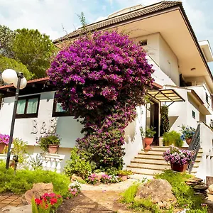 Santa Fara Bed & Breakfast
